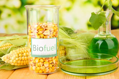 Rumney biofuel availability